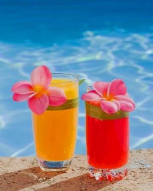 Hawaiian Cocktails Paint By Numbers