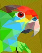 Geometric Parrot paint by numbers