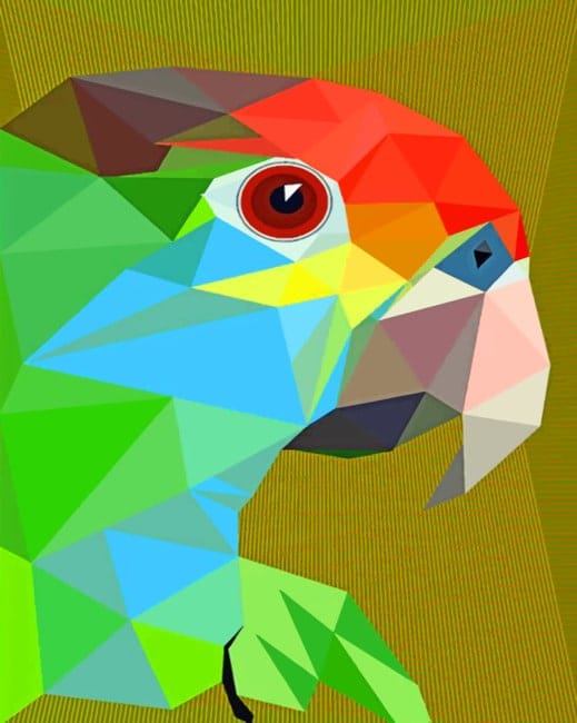 Geometric Parrot paint by numbers