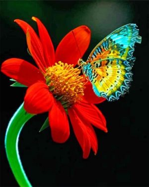 Butterfly On Red Flower Paint By Numbers