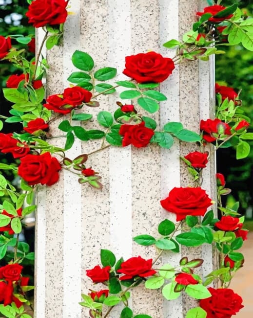 Red Roses Flowers Paint By Numbers
