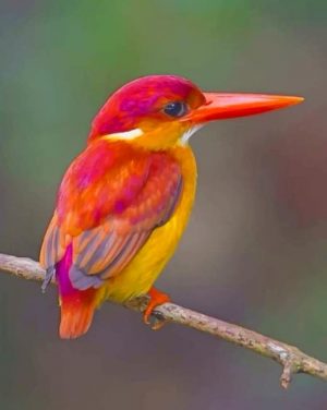 Rufous Backed Kingfisher paint by numbers