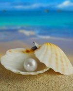 Pearl Shell Paint By Numbers