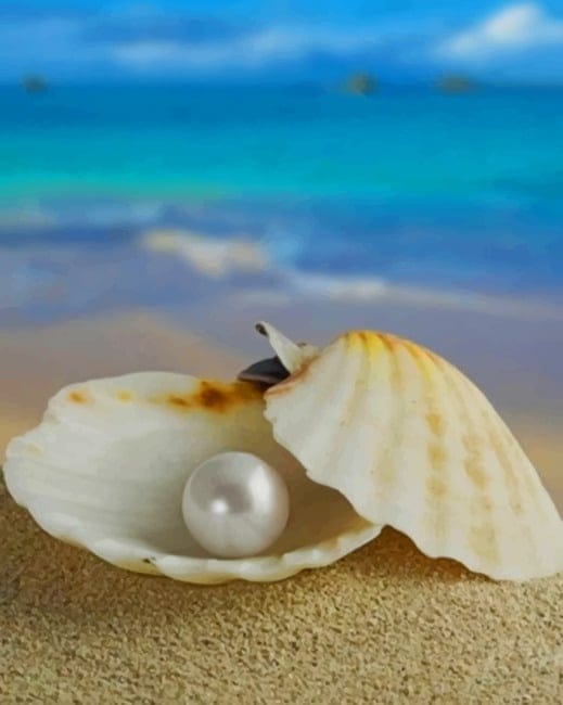 Pearl Shell Paint By Numbers