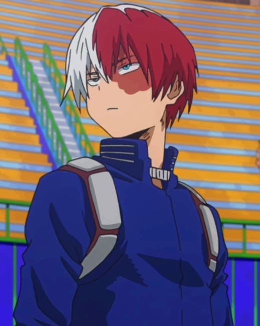 Mha Shoto Todoroki Paint By Numbers
