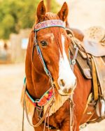 American Quarter Horse Paint By Numbers