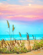 South Padre Island At Sunset Paint By Numbers