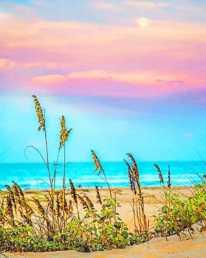 South Padre Island At Sunset Paint By Numbers