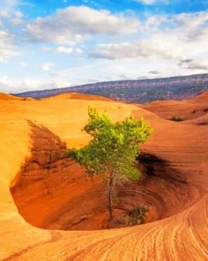 Dance Hall Rock Utah Paint By Numbers