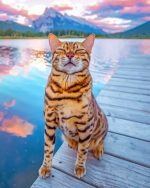 Cute Bengal Cat Paint By Numbers