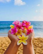 Frangipani Flowers Paint By Numbers