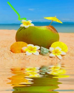 Fresh Coconut Paint By Numbers