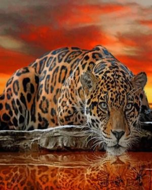 Leopard Water Reflection Paint By Numbers