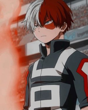 Shoto Todoroki Paint By Numbers
