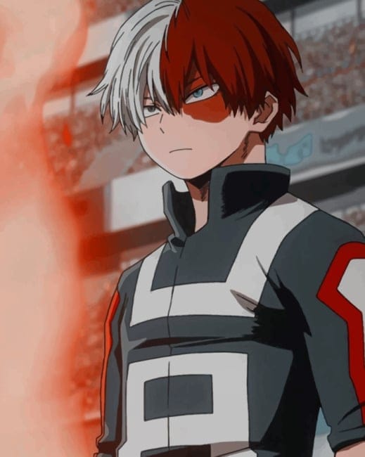 Shoto Todoroki Paint By Numbers
