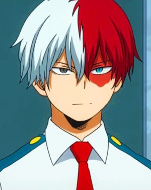 Todoroki Anime paint by numbers