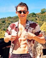 Tom Holland Paint By Numbers