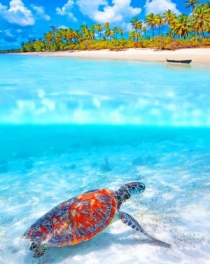 Sea Turtle Underwater Paint By Numbers