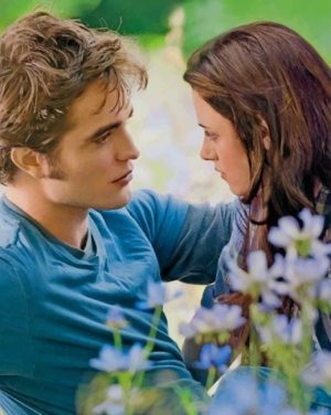 The Twilight Saga Paint By Numbers