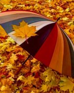 Umbrella Fall Season Paint By Numbers