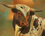 Longhorn Bull Paint By Numbers