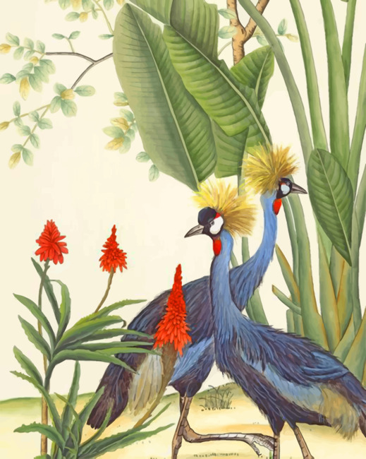 Black Crowned Cranes Paint By Numbers