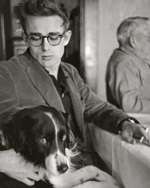 James Dean Paint By Numbers