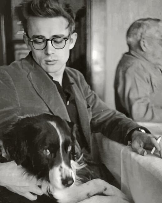 James Dean Paint By Numbers