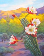 Floral Cactus Paint By Numbers