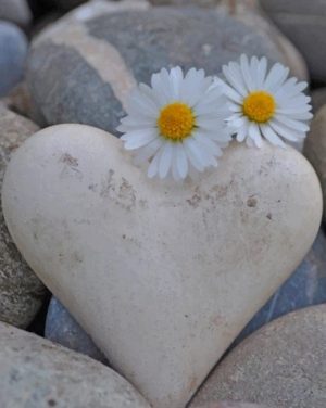 Rock Heart And Flowers Paint By Numbers