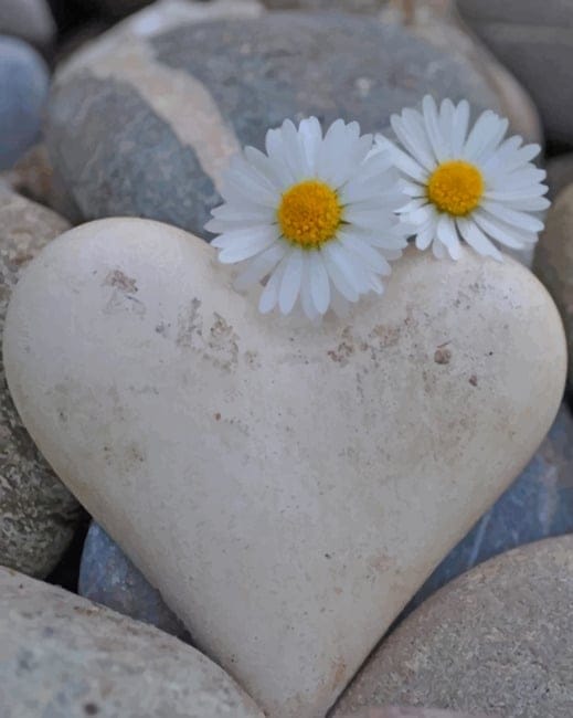 Rock Heart And Flowers Paint By Numbers