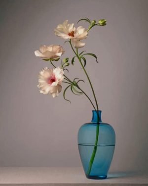 Blue Vase White Flowers Paint By Numbers
