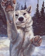 White Wolf Paint By Numbers