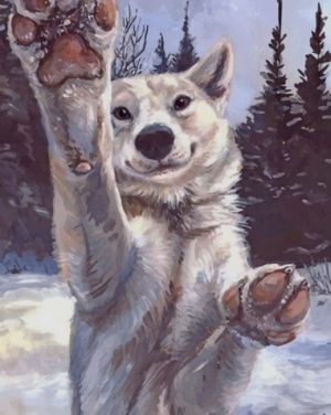 White Wolf Paint By Numbers