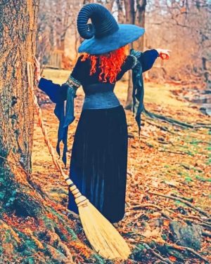 Witcher Lady Paint by numbers