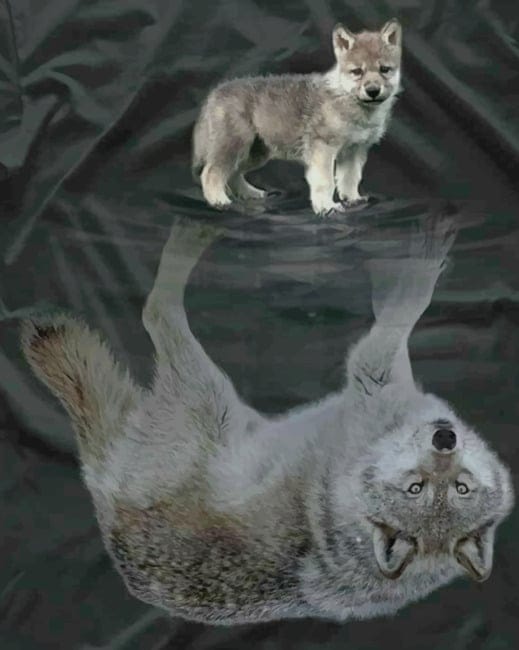 Wolf Reflection Paint By Numbers