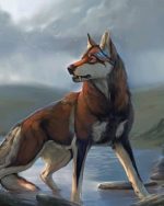 Wild Wolfdog Paint By Numbers