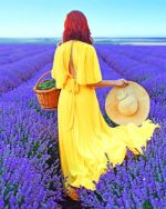 Woman In Lavender Field Paint By Numbers