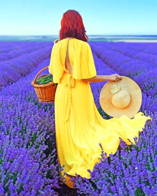 Woman In Lavender Field Paint By Numbers