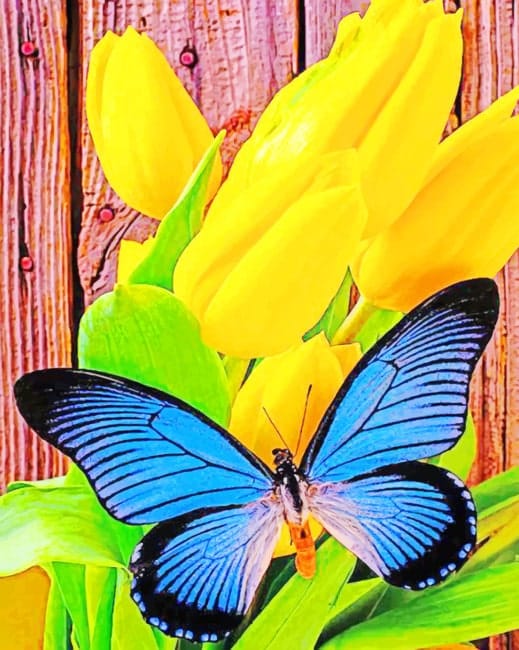 Butterfly On Tulips Paint By Numbers