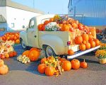 Pumpkins Truck Paint By Numbers