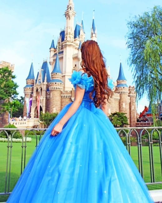 Cinderella Castle Paint by numbers