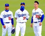 Dodgers Baseball Players Paint By Numbers