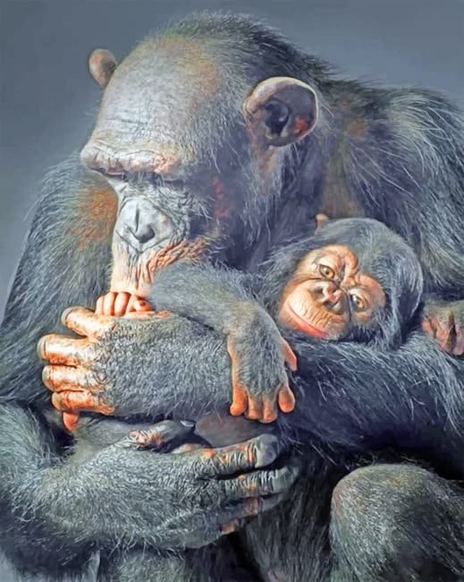 Chimpanzee Mother And Baby Paint By Numbers