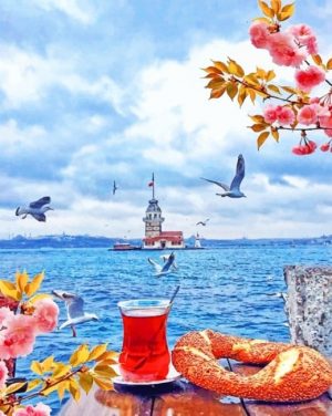 Istanbul And Tea Paint By Numbers