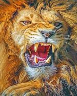 Mad Lion Paint By Numbers