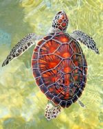 Sea Turtle Paint By Numbers
