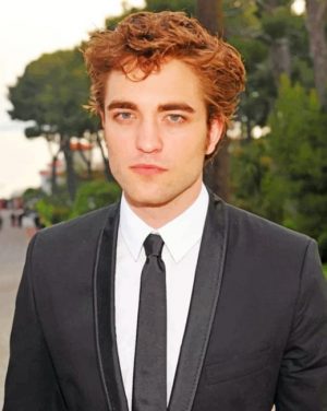 Robert Pattinson Paint By Numbers