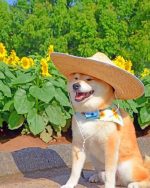 Shiba Inu Paint By Numbers