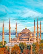 The Blue Mosque paint by numbers